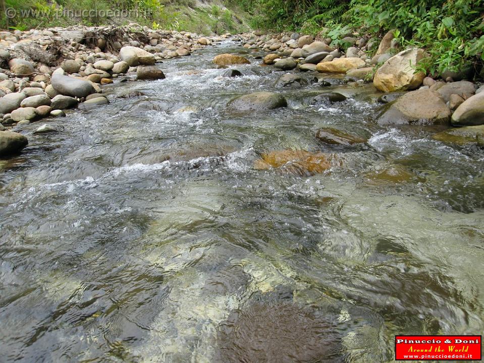 ECUADOR - Foresta Amazzonica - 27.jpg